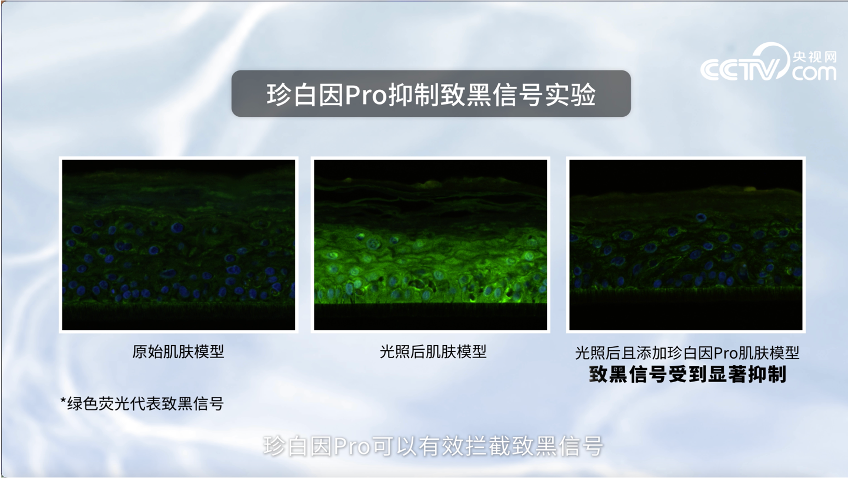 中國美容博覽會 中國美容博覽會