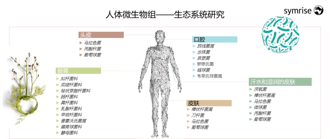 中國美容博覽會 中國美容博覽會
